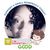 Amanda Kyle-Shaw's profile image