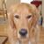 Erin Underwood's profile image
