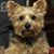 Rosemary McGady's profile image