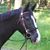 Denise Anderson's profile image