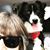 Sandi Wollam McQueen's profile image