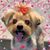 Janette Flanary's profile image