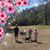 Jenny Lacy's profile image