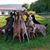 Cathy Gayler's profile image