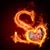 Shirley Cecil Fisher's profile image