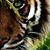 Paula Brockert-West's profile image
