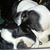 Jen Herrick's profile image
