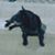Lara Wiles's profile image