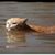 Aaron Hensley's profile image