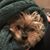 Andrea Melahn Hough's profile image
