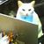 Al Sichelstiel's profile image
