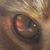 Kimberly Palaszewski's profile image