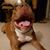 Ernie Ray's profile image