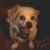 Tricia Fingerhut Hampton's profile image