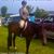 Abbie Mckenzie's profile image