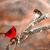 Tammy Kriese-O'grady's profile image