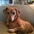 Kim Willard-Moore's profile image