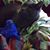 Jodi Fulmer's profile image