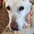 Jenny Robinson's profile image