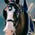 Donna Millard's profile image