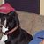 Mike Van Roekel's profile image