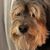 Colleen Smith's profile image