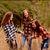 Gabryelle Tapley's profile image
