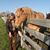 Carole Milby's profile image