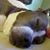 Randy Murphy's profile image