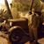 David Iredale's profile image