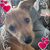 Christine Lowe's profile image