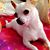 Yuriko Wielenbeck's profile image
