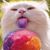 Kimberly Blair's profile image