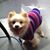 Bella Ramsden's profile image