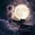 Javier Gonzalez's profile image