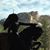 Ric Razalas's profile image