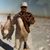 Steve Camarata's profile image