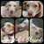 Shannon Mabry's profile image