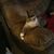 Catherine Spillane's profile image