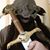 Nichole Sanchez's profile image