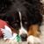 Sherry Peak's profile image