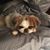 Kim Smith Wilmes's profile image