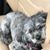Carlen Palmer Blume's profile image