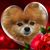 Frances Williams's profile image