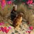 Mona Beaton's profile image
