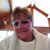 Carla Krafft's profile image