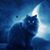 Brenda Solters's profile image