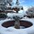 Brenda McQuaig's profile image