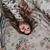 Rose Catherine Hohl's profile image