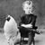 Julia Day's profile image